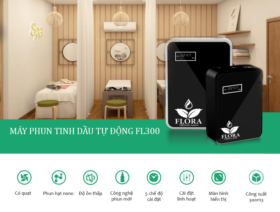 Top các loại tinh dầu khử mùi hiệu quả